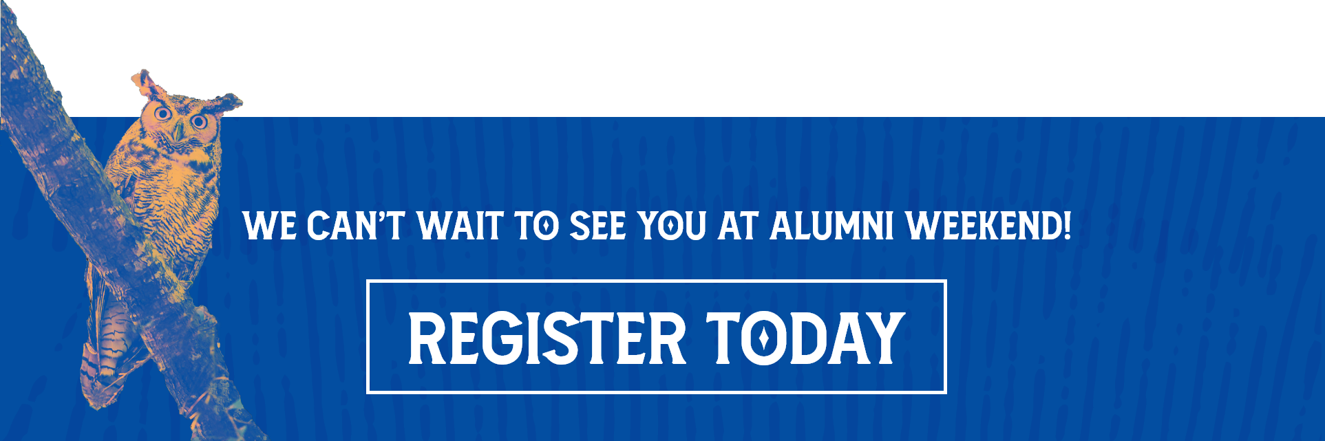 ALUMNI WEEKEND REGISTRATION visual data 8